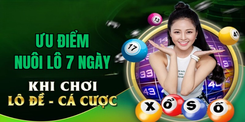 uu-diem-nuoi-lo-7-ngay